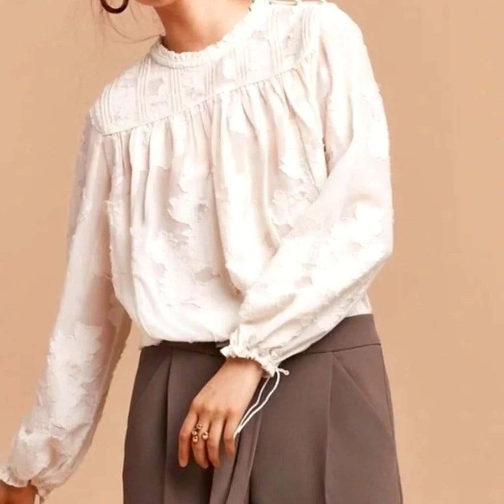 Wilfred Aritzia White Floral Burnout Sheer Boxy Crop Blouse Top Small #23